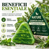 Șampon Solid Natural cu Plante | Mătreață Severă și Căderea Părului